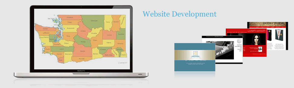 Website Development